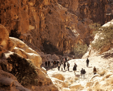 1PETRA