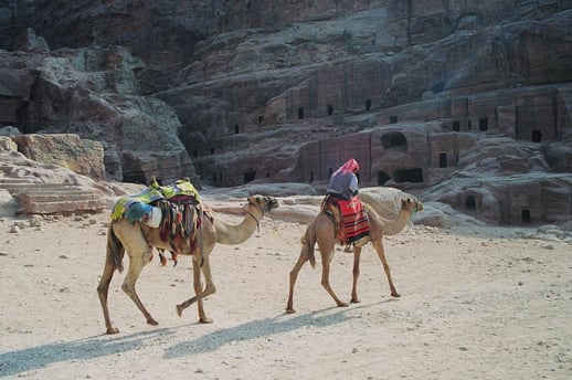 Shooting Stars and Shay in Jordan’s Dana Biosphere Reserve