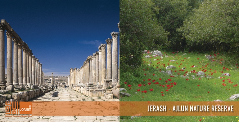 Jerash - Aljun Nature Reserve