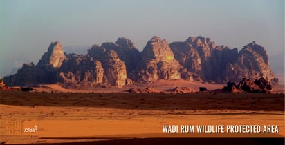 Wadi Rum Wildlife Protected Area