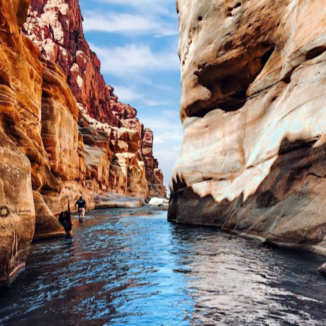 Instagram-Newsletter-5-1-1