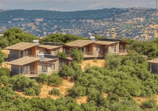 Screenshot 2025-08-08 at 1.42.40 PM