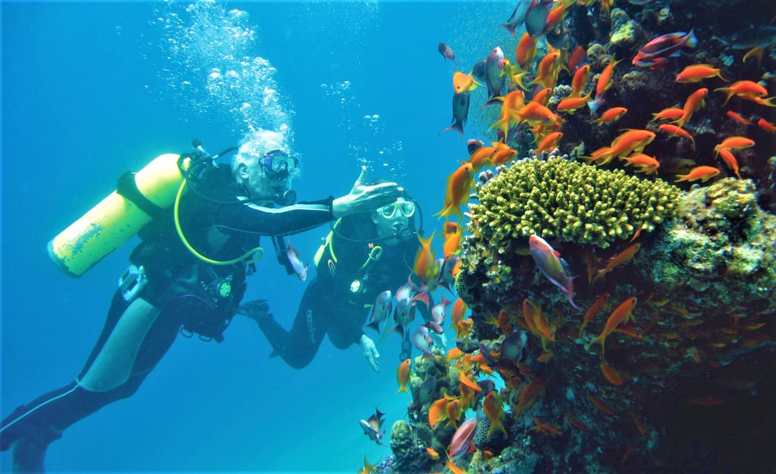 aqaba under 2