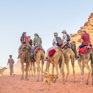 group-of-people-on-camels-blog-about-mars-sq