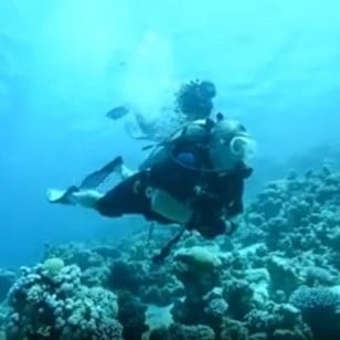 kingaqaba-2