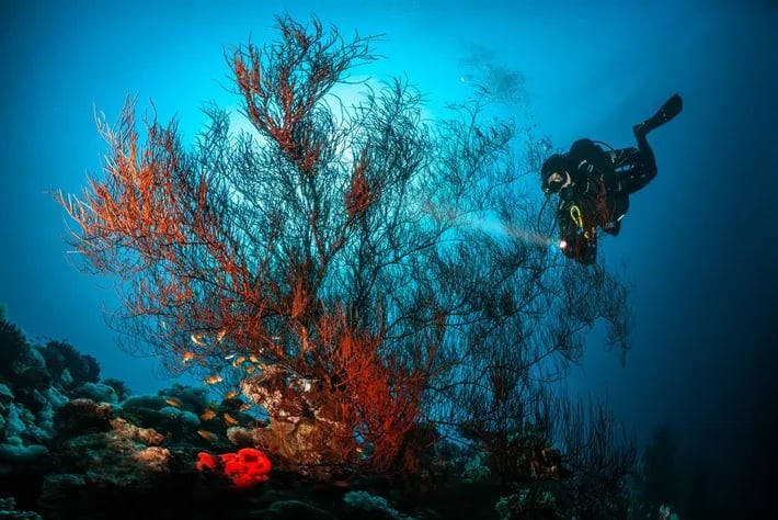 scuba-diving-1
