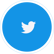 twitter-icon-outer-circle