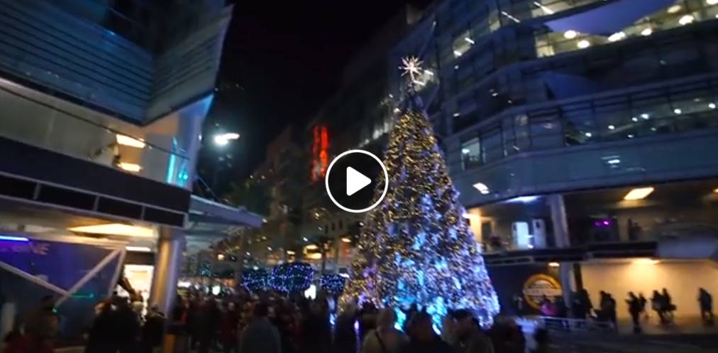 tree-thumbnail