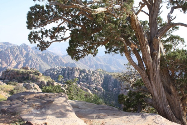 worlds-greatest-places-2021-wadi-dana-jordan-1