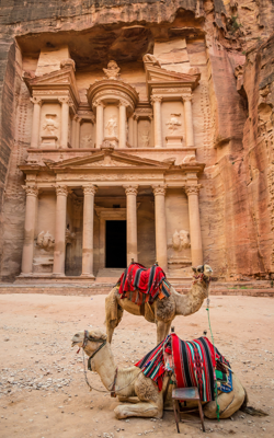 Portrait Image of Petra