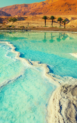 Portrait Image of The Dead Sea